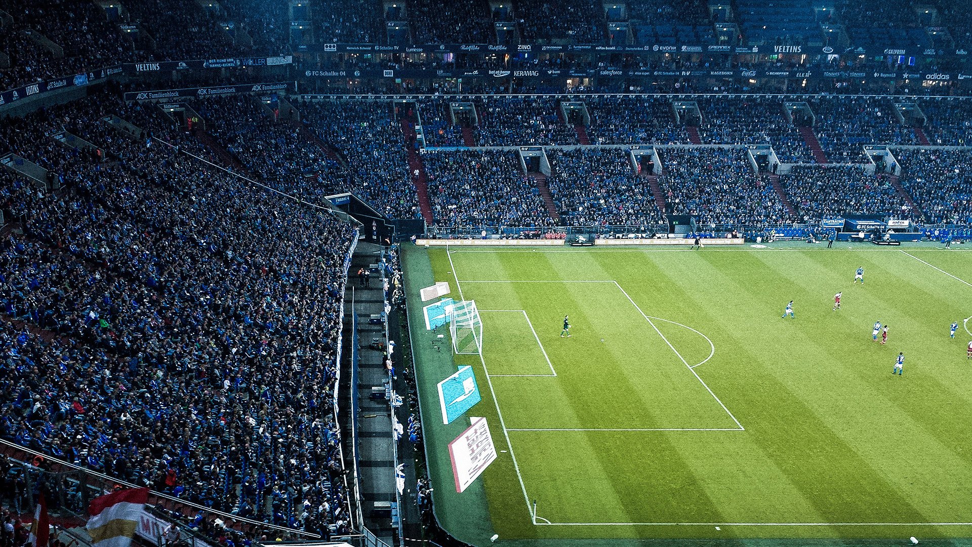 网球世界排名公布 多位选手排名变化